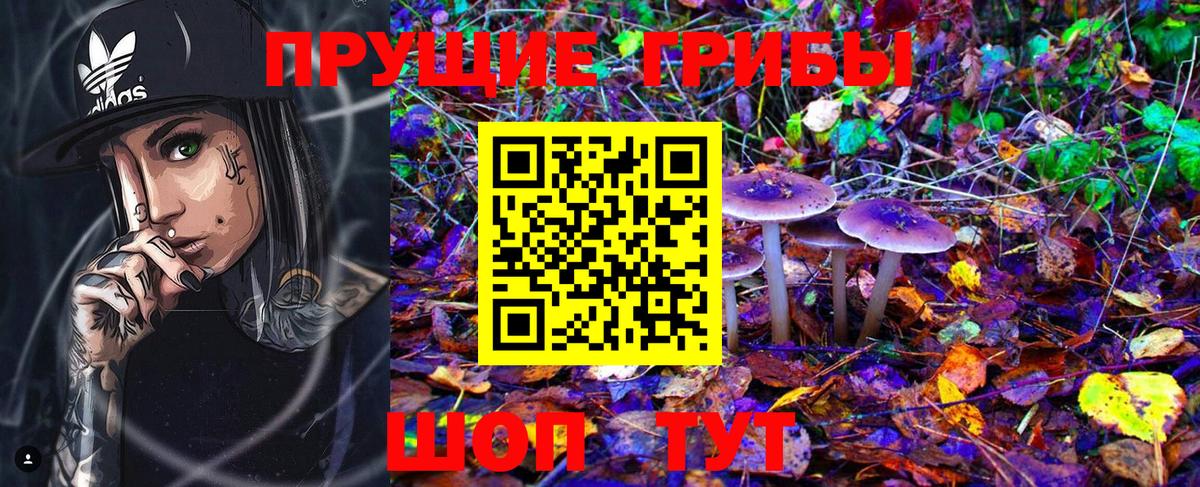 Псилоцибиновые грибы MAGIC MUSHROOMS Аргун