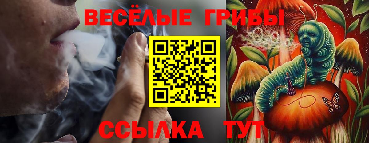 Псилоцибиновые грибы Cubensis Аргун